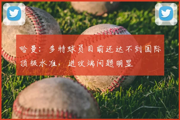 哈曼：多特球员目前还达不到国际顶级水准，进攻端问题明显