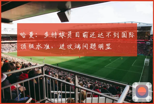 哈曼：多特球员目前还达不到国际顶级水准，进攻端问题明显