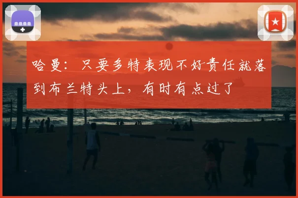 哈曼：只要多特表现不好责任就落到布兰特头上，有时有点过了