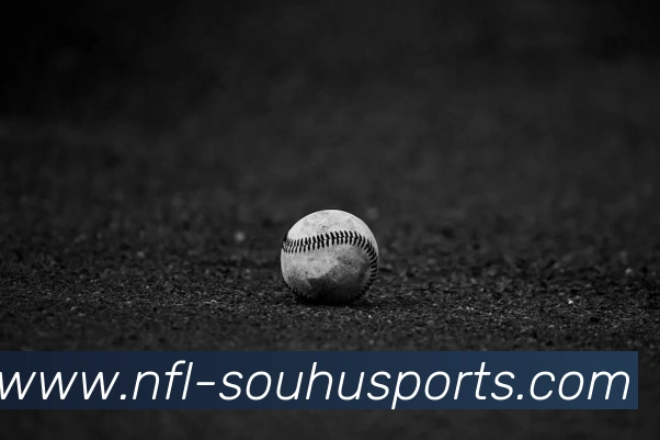 搜狐体育平台生态图